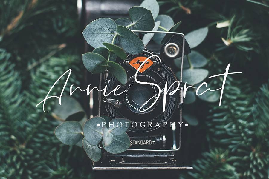 Orchest Luxurious Script Font sample