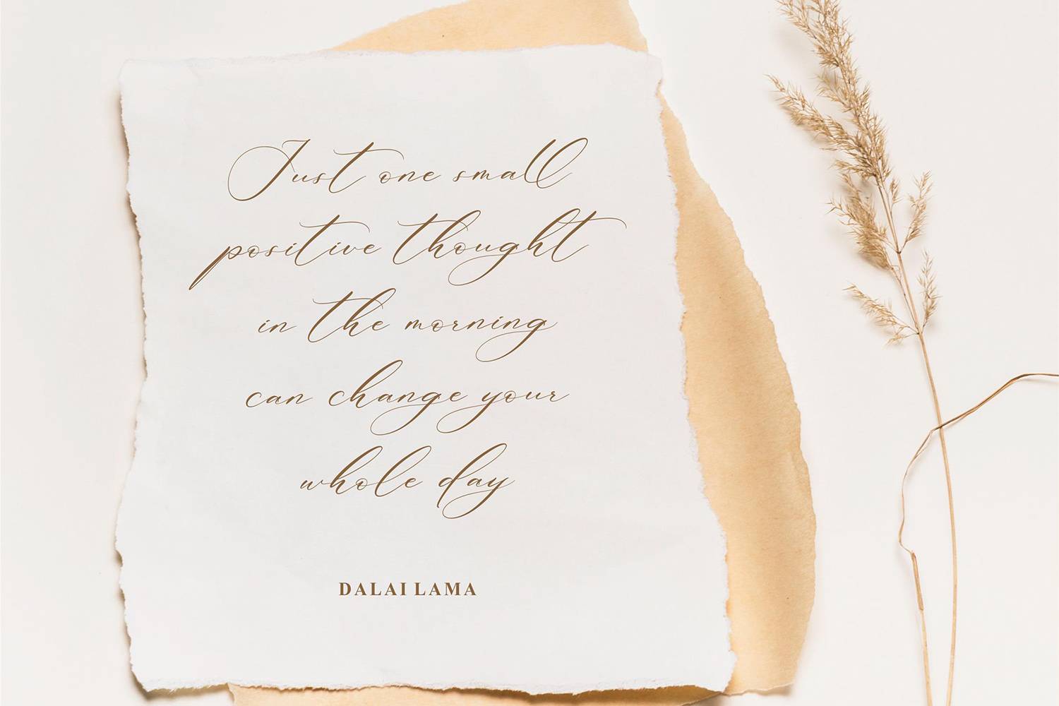 Patricia Rustine Font sample
