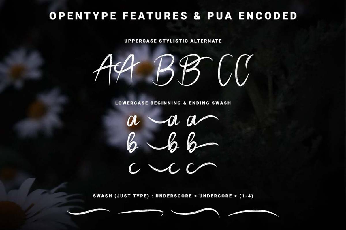 Pecattes Font sample