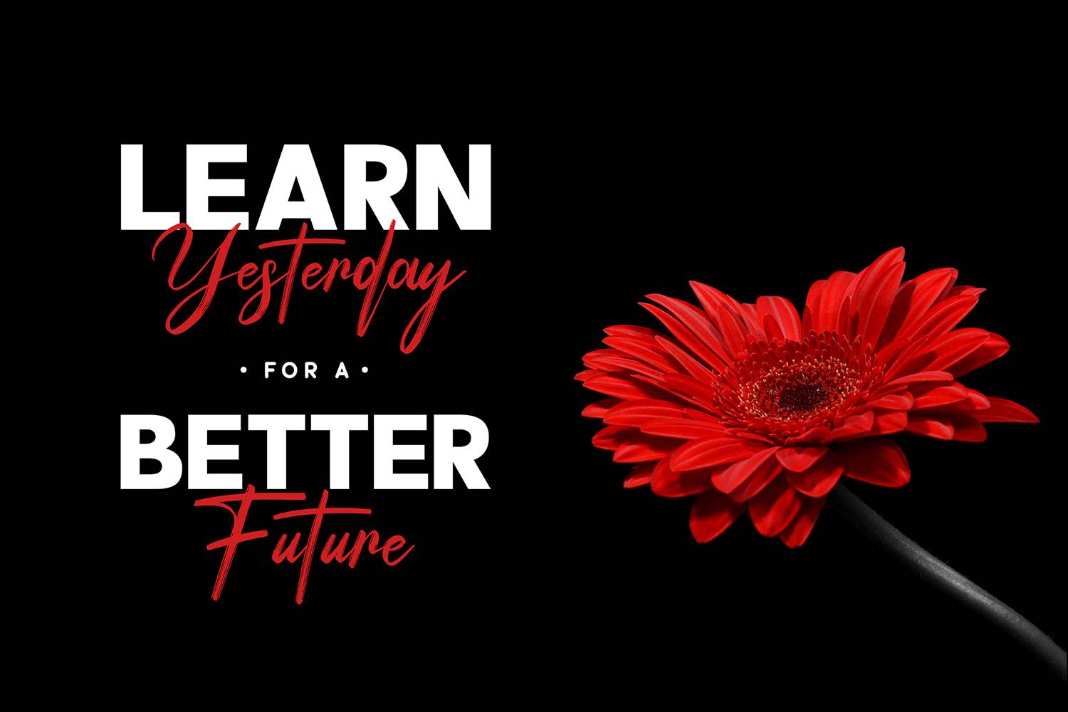 Peter Quincy Font sample