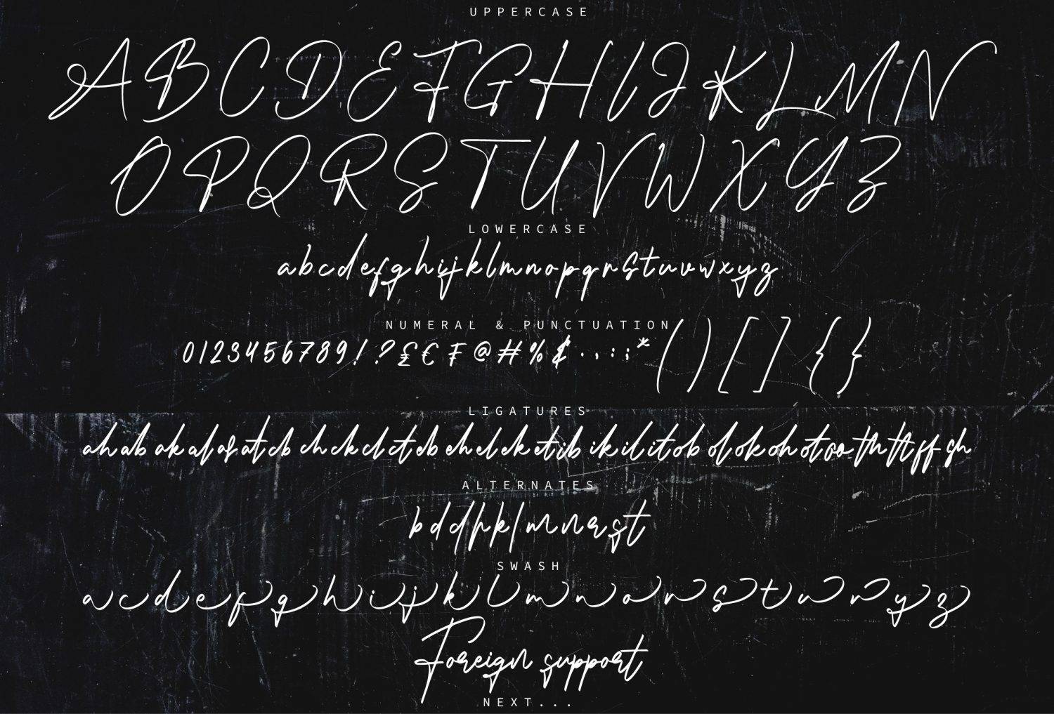 Pictures Signature Font sample