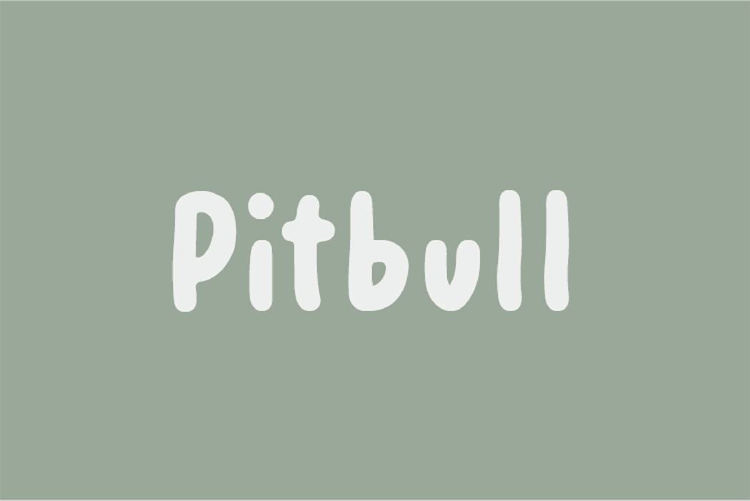Pitbull Font sample