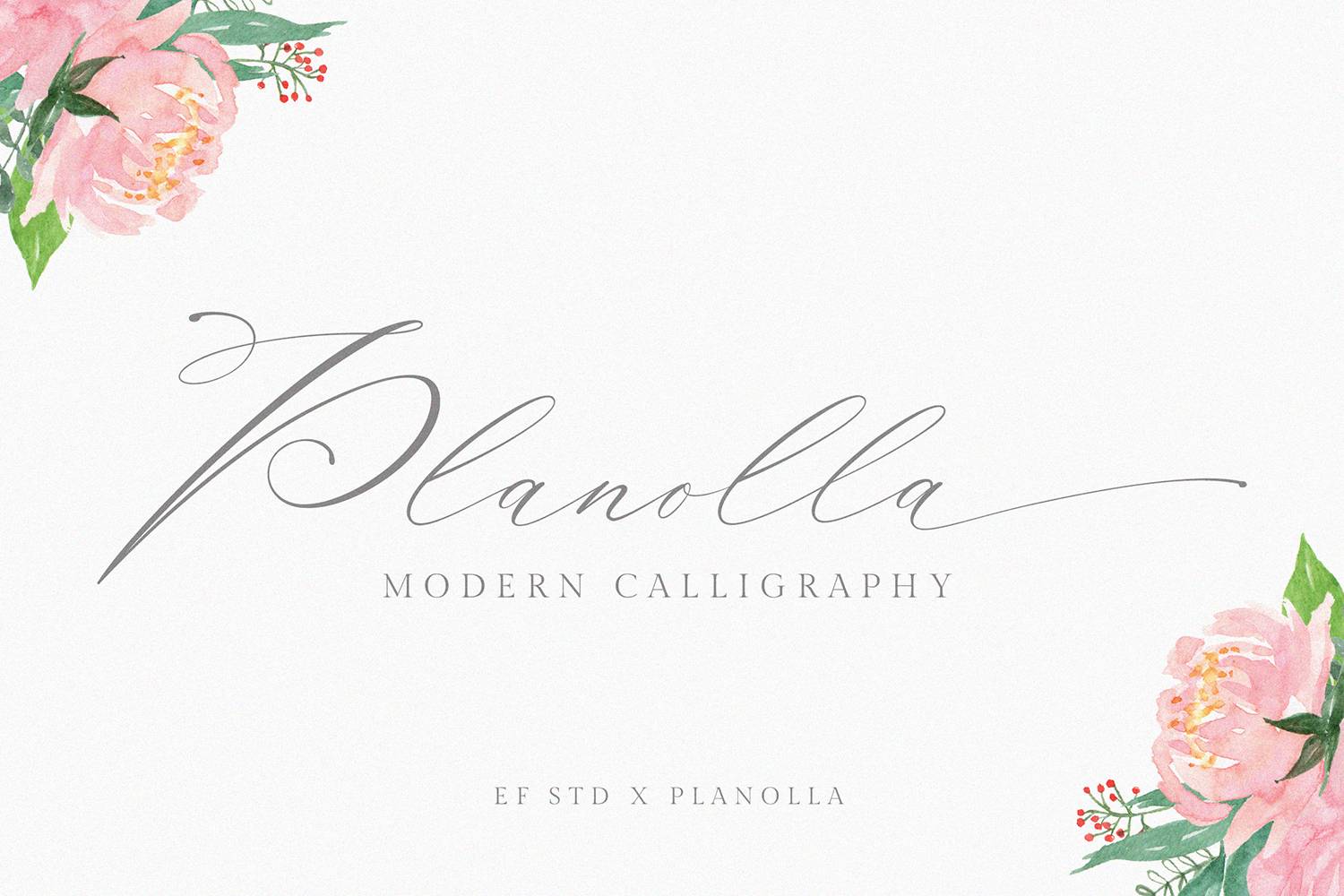 Planolla Font sample