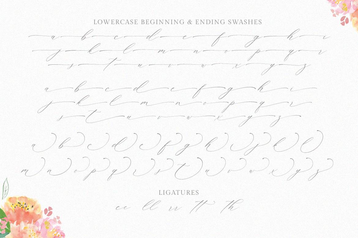 Planolla Font sample