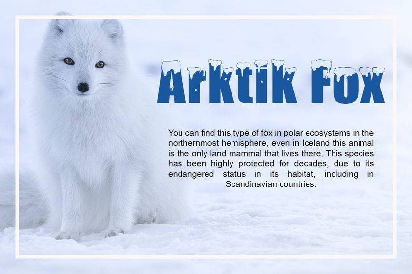 Polar Snow Font sample