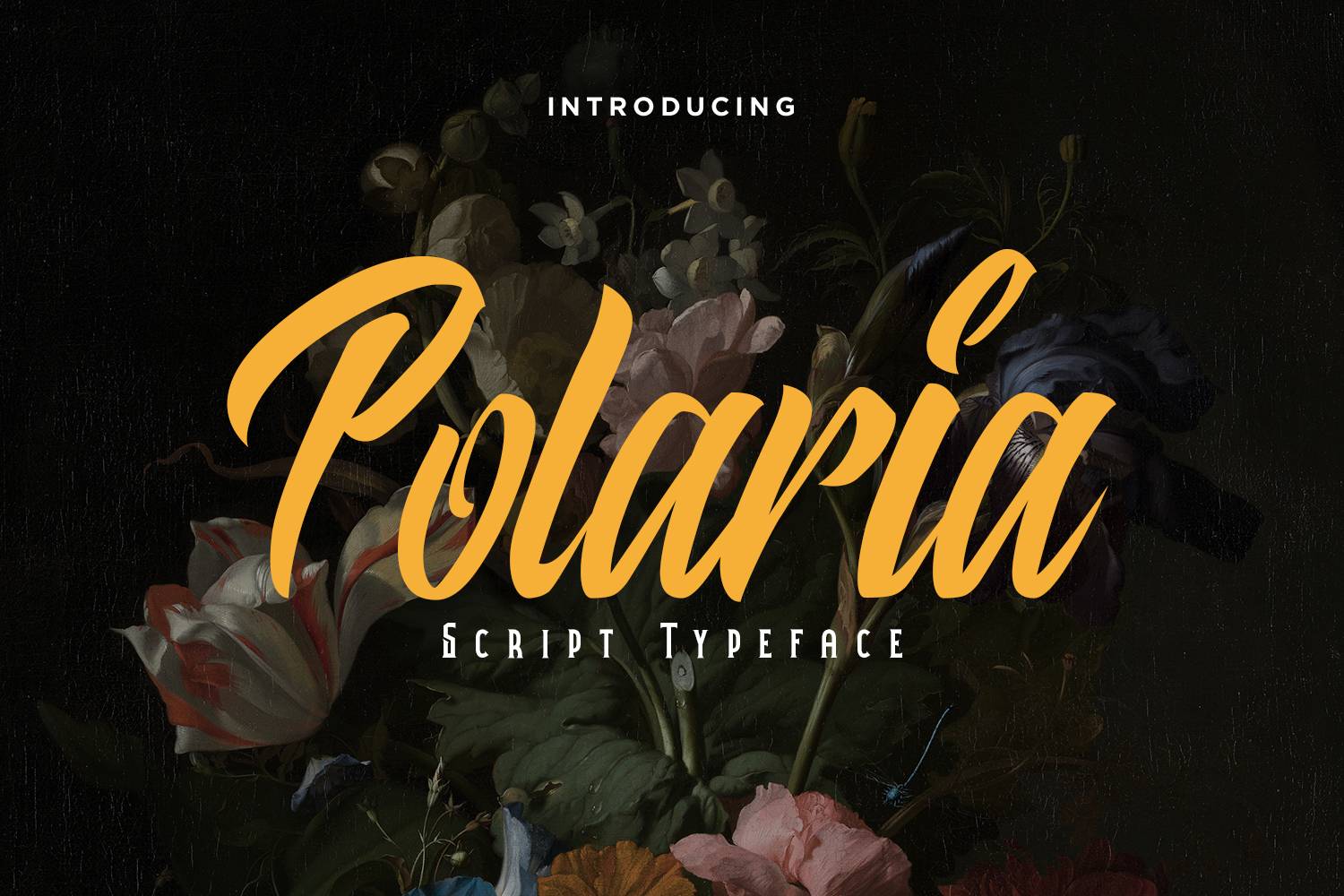 Polaria Font sample