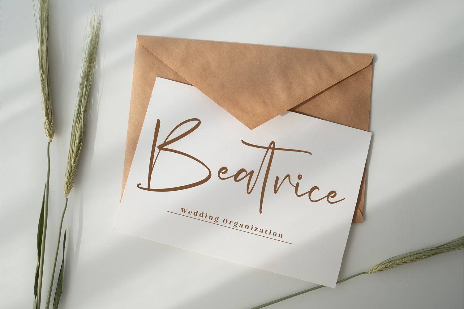 Prichylia Font sample