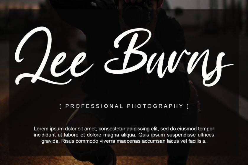 Prince Danice Font sample