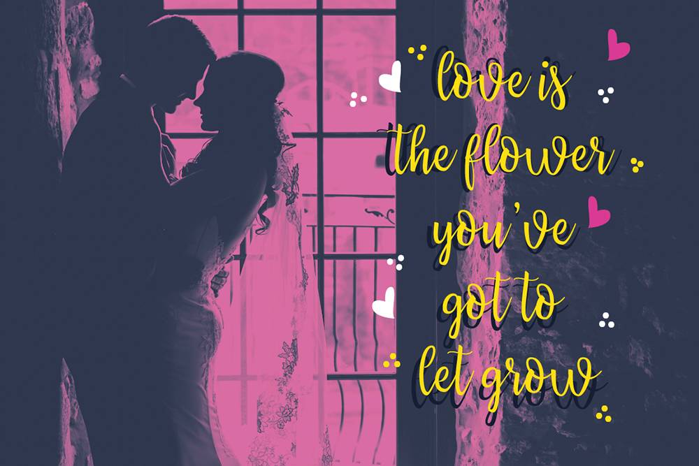 Priscilla Script Typeface sample