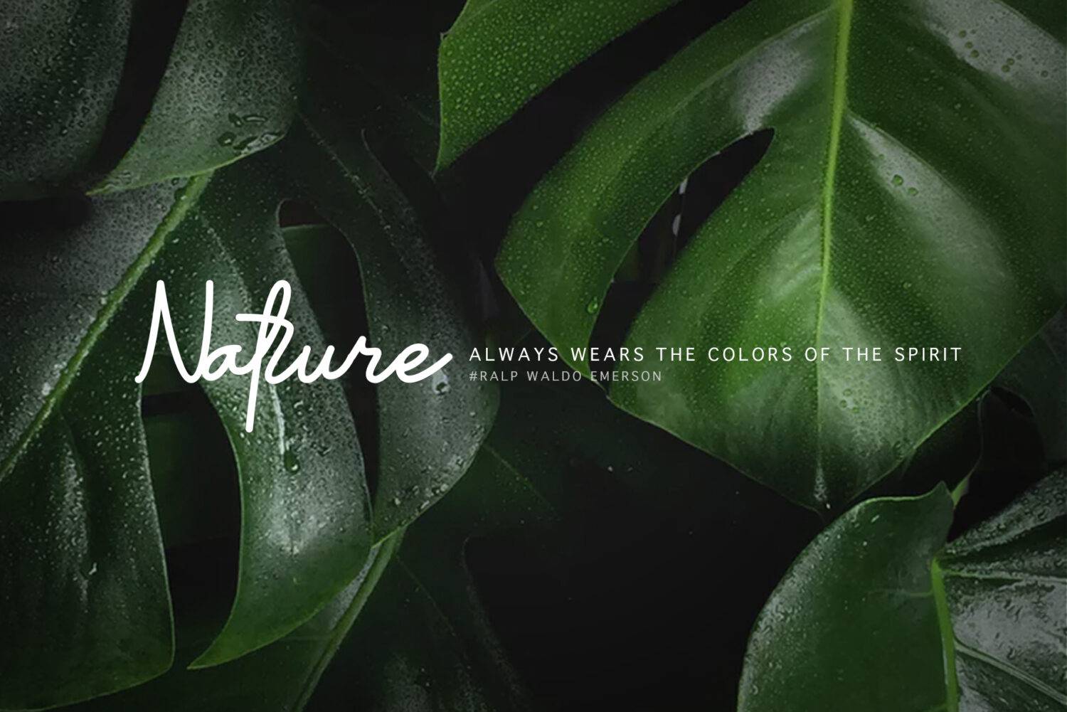 Rantca Font sample