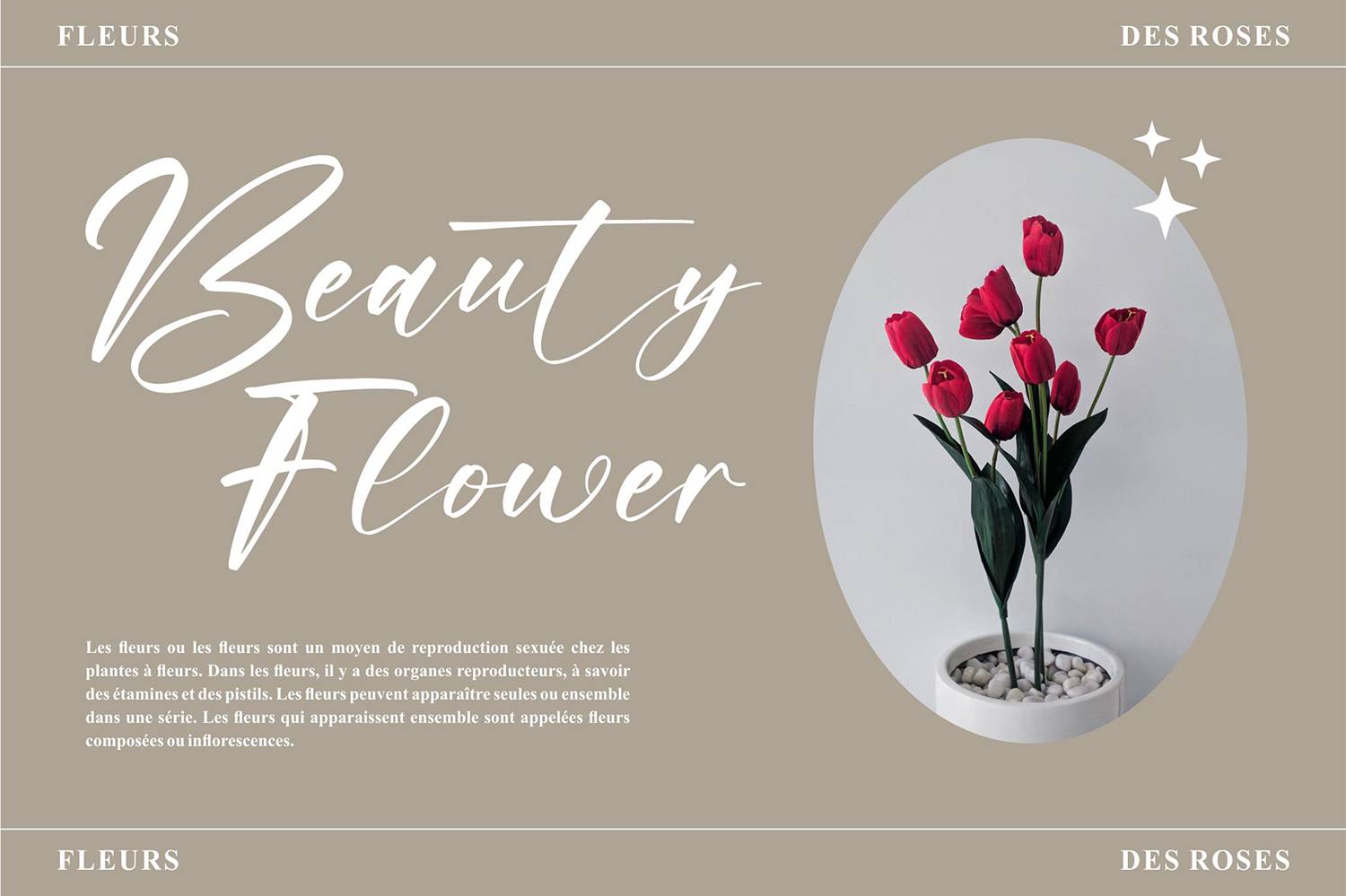 Raylight Font sample
