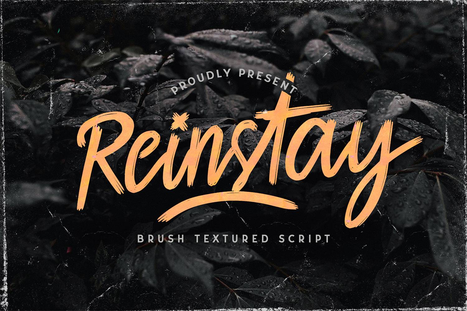 Reinstay Font sample