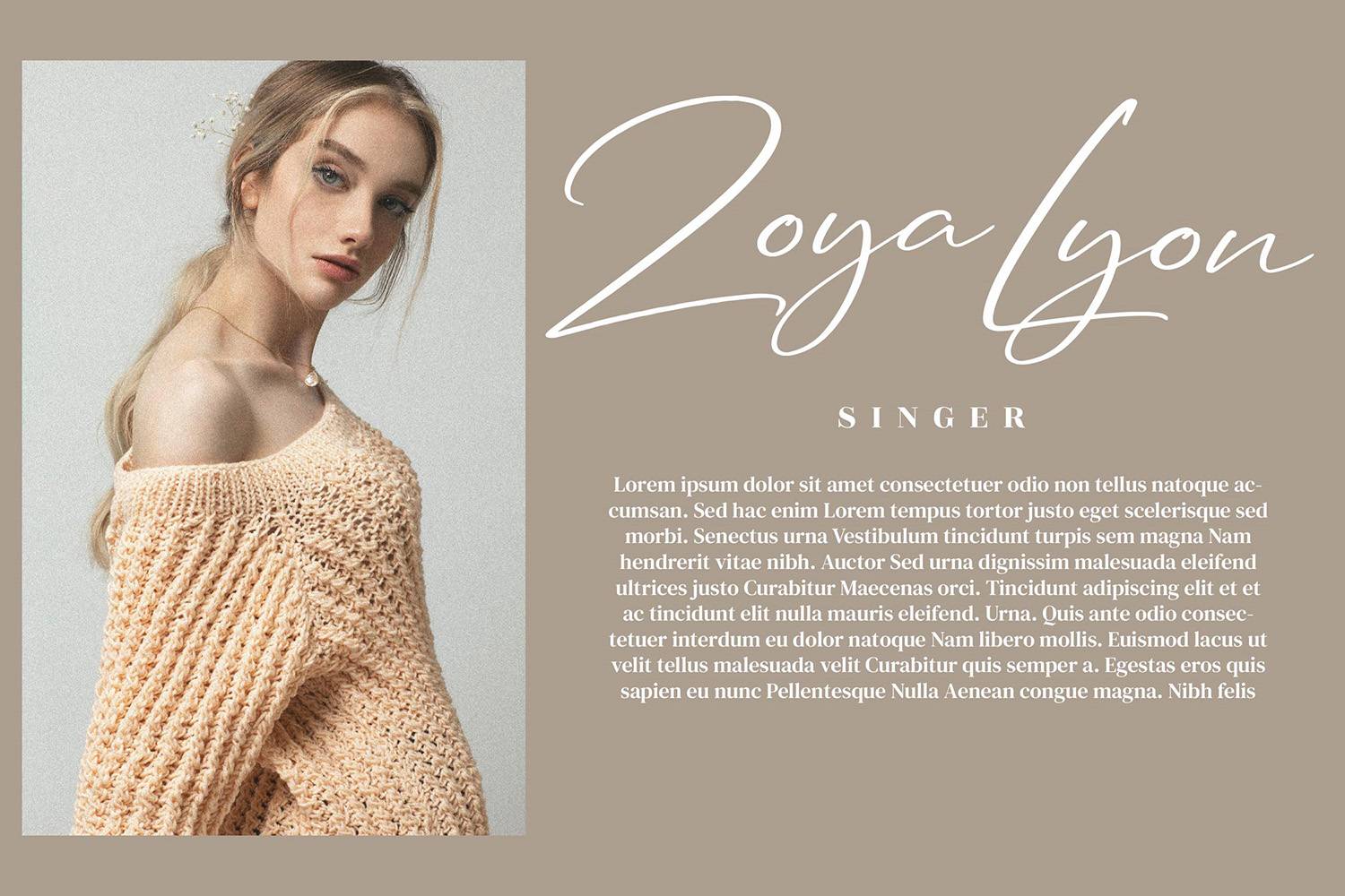 Renaldysta Signature Font sample