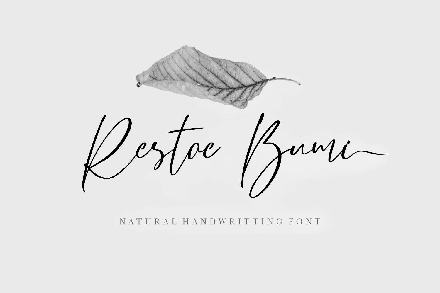 Restoe Bumi Font sample