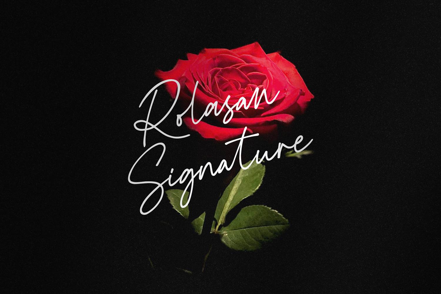 Rolasan Signature Font sample
