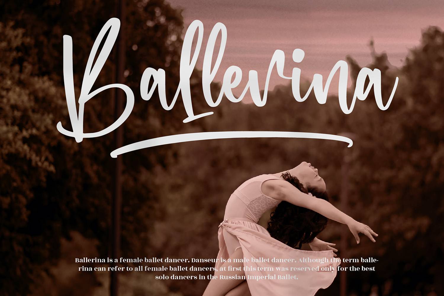 Rollection Font sample