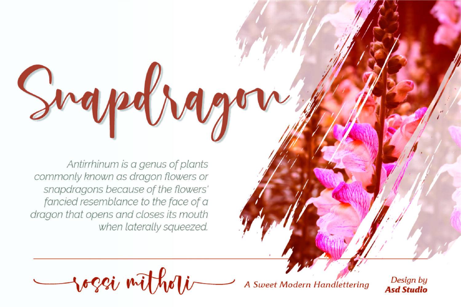 Rossi Mithori Font sample