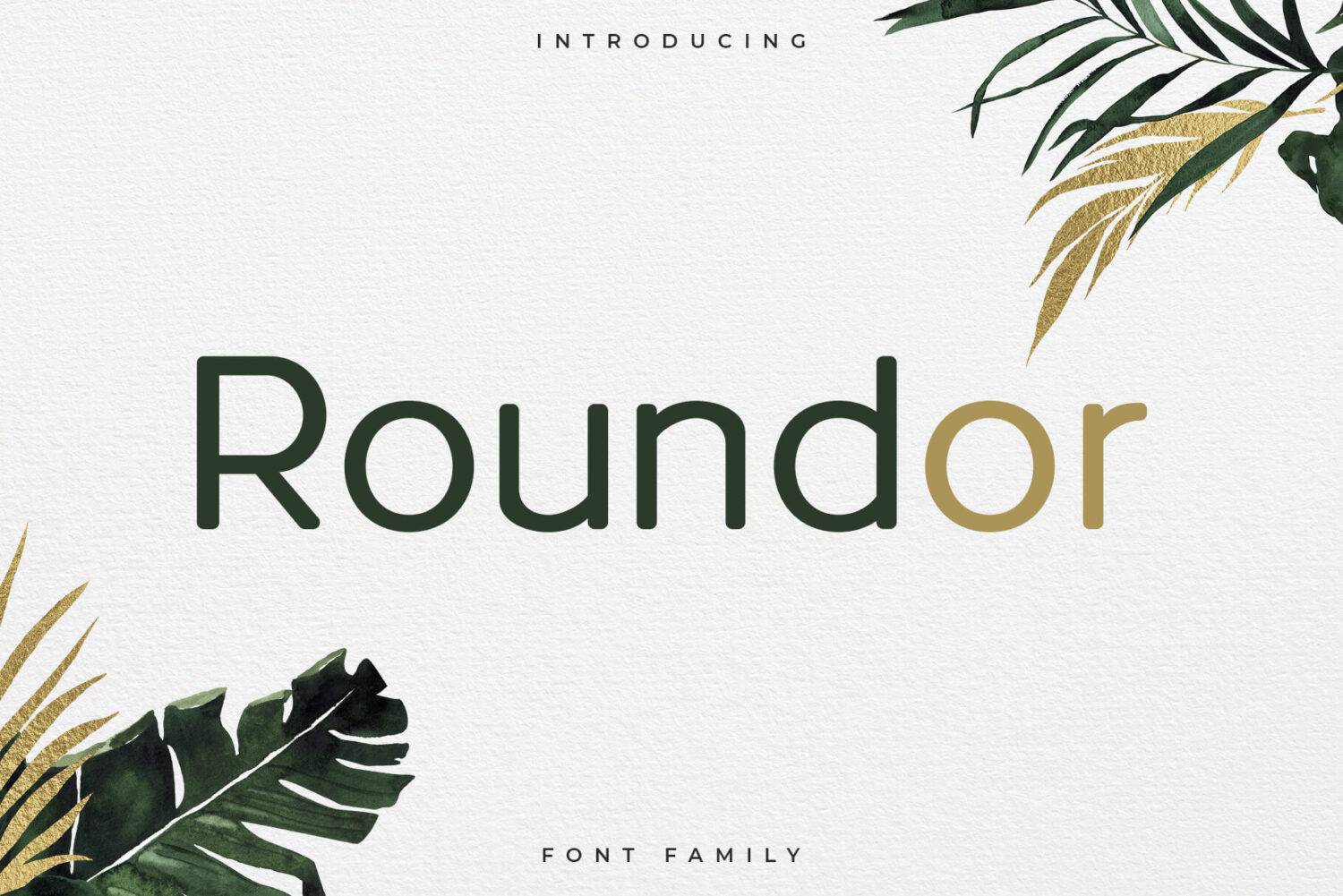 Roundor Font Family sample