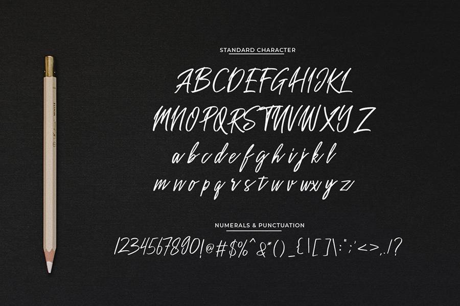 Sakoda Signature Script Font sample
