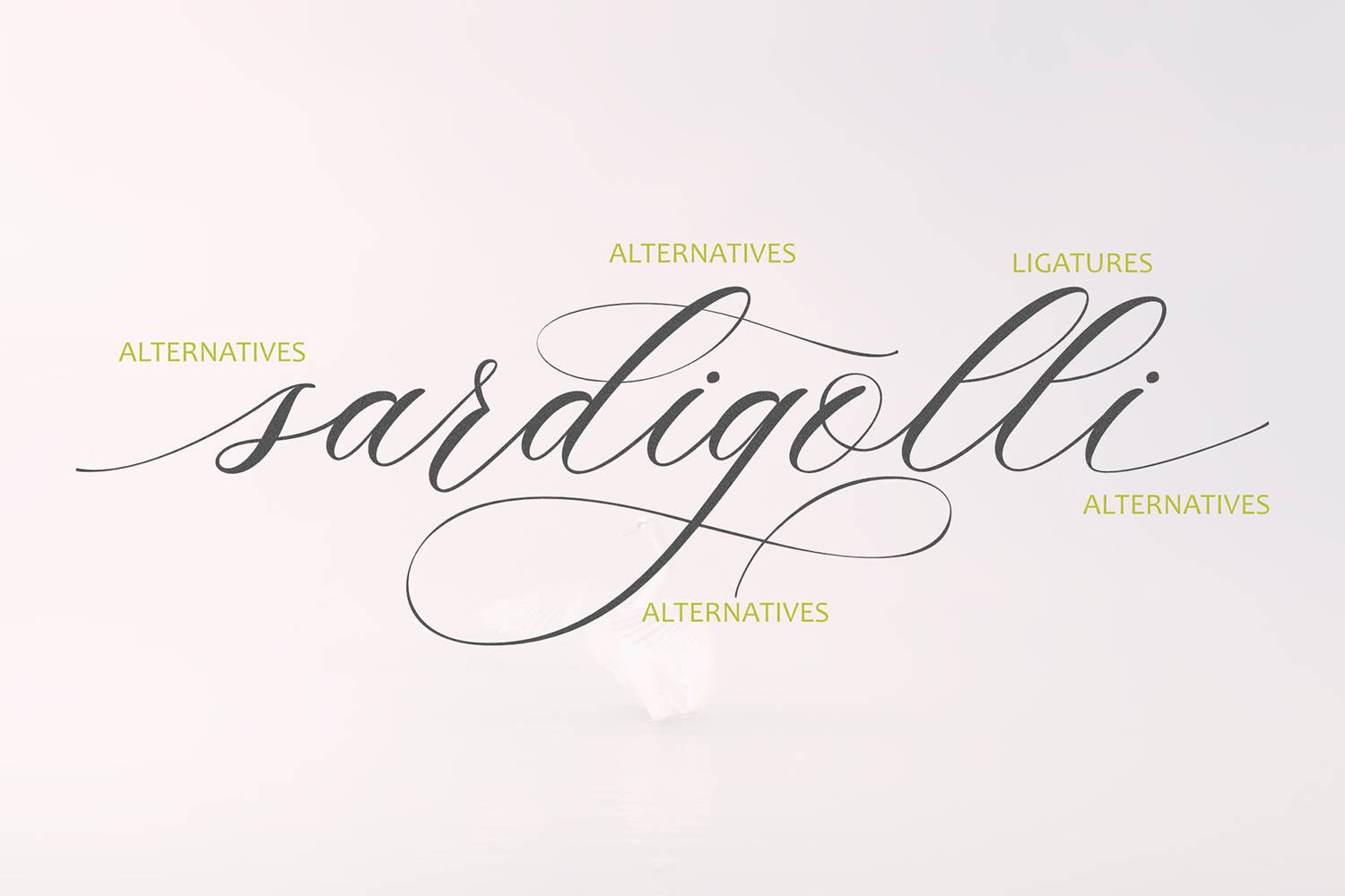 Sarradogelso Font sample