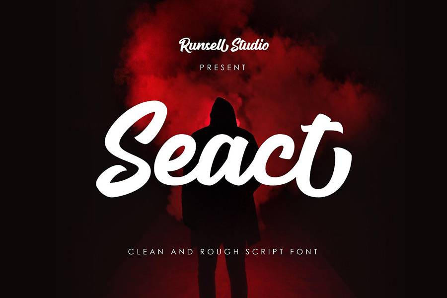 Seact Handlettering Script sample