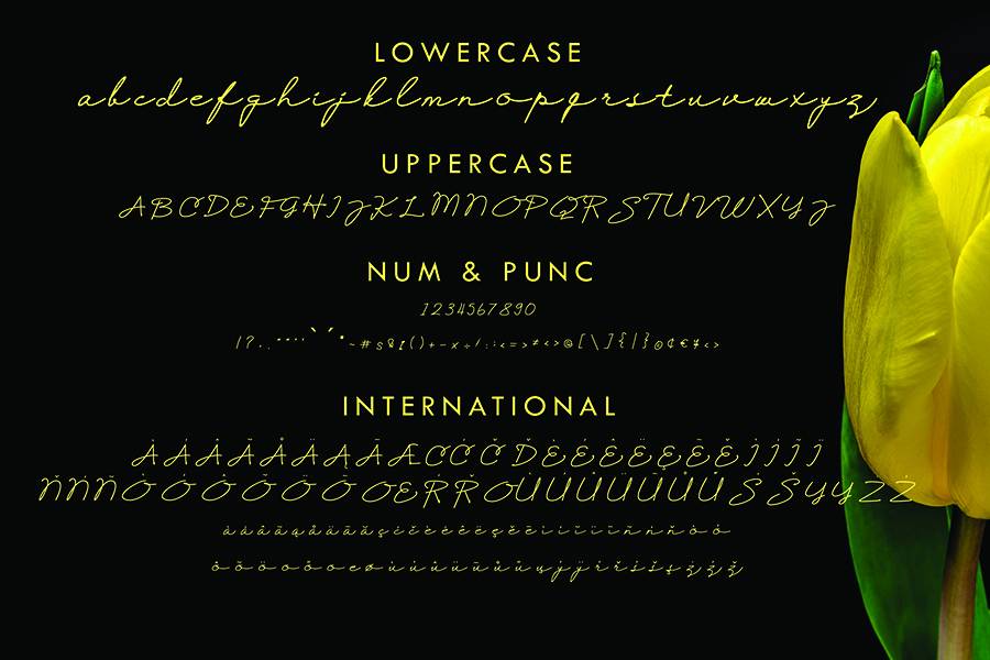 Selfiana Handwritten Font sample