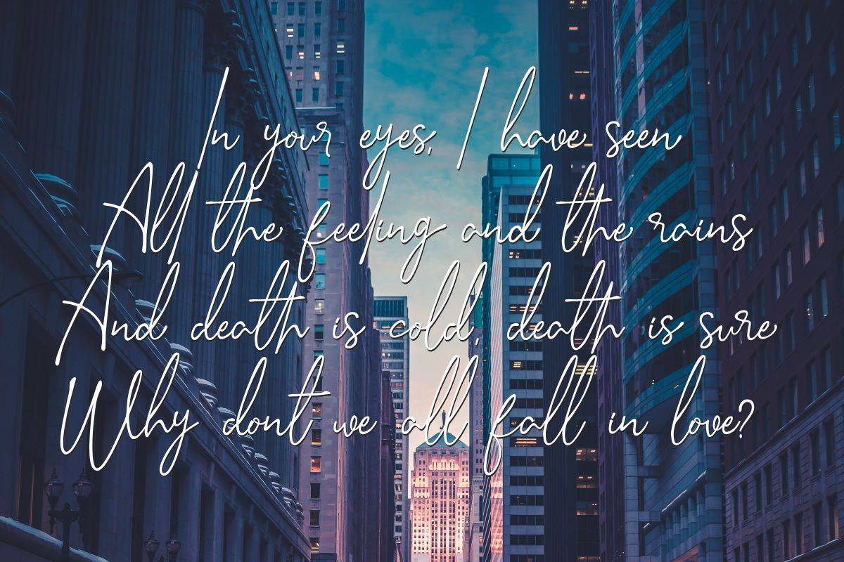 Sella Callista Font sample