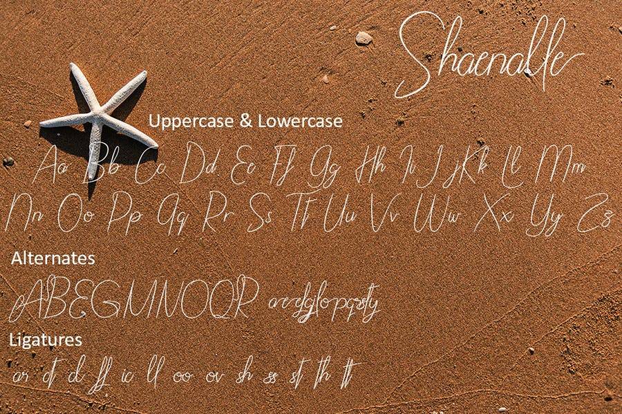 Shaenalle Script Font Demo sample