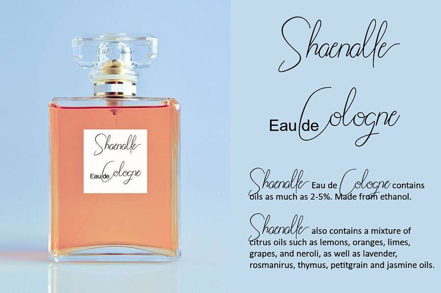 Shaenalle Script Font Demo sample