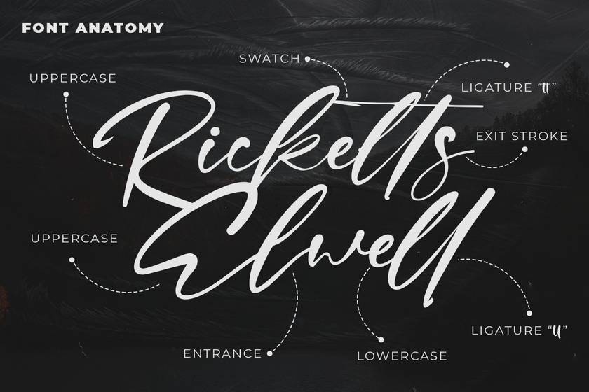 Sharkey Font sample
