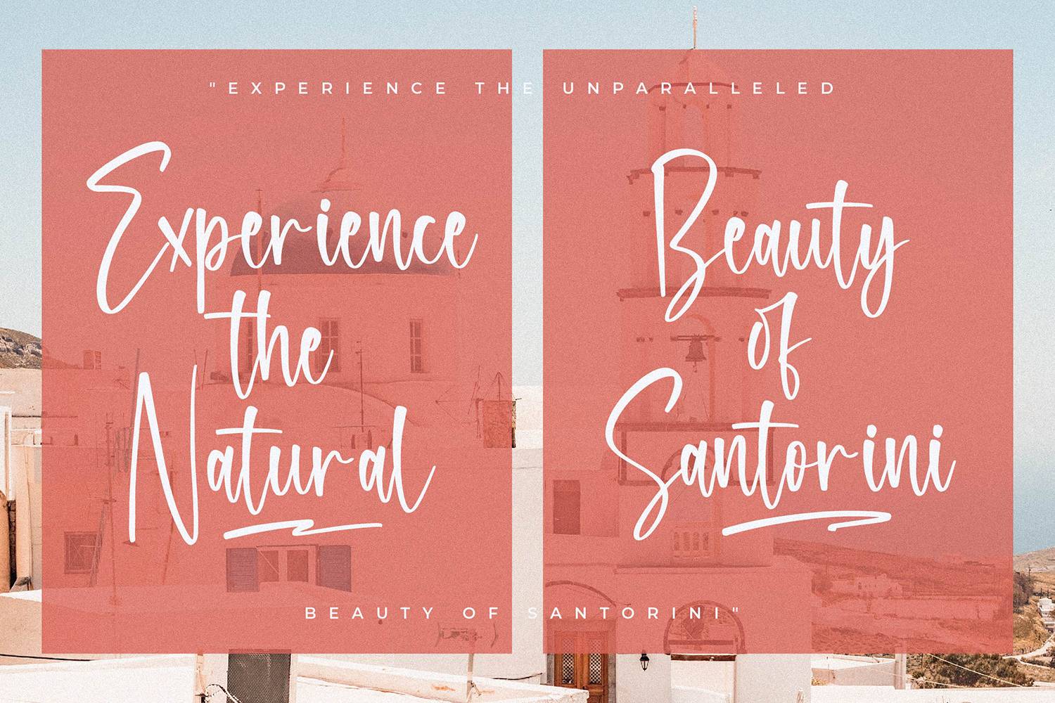 Sharon Daisy Font sample