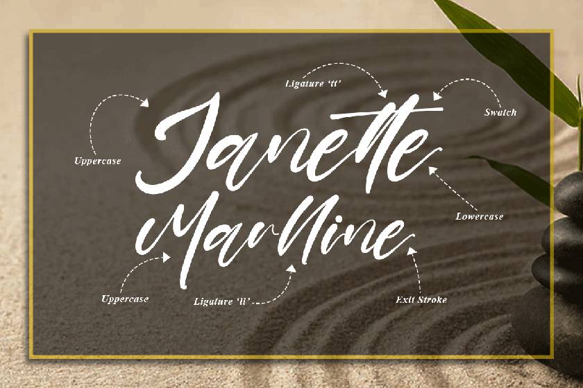 Shayne Font sample
