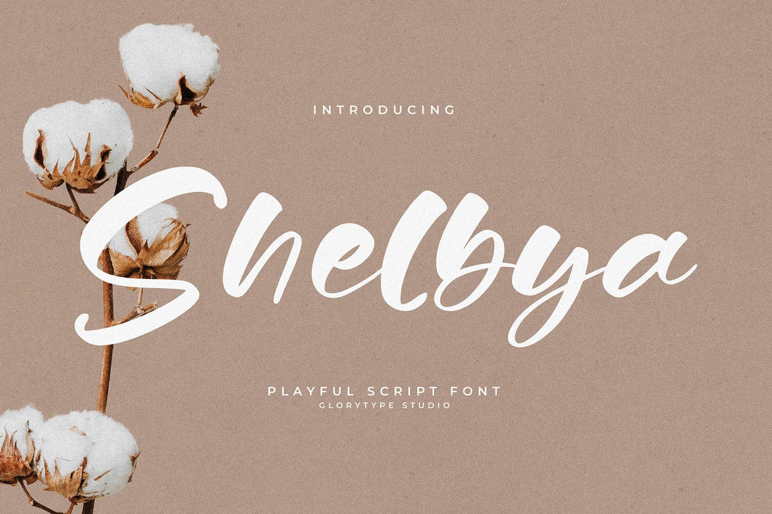Shelbya Font sample