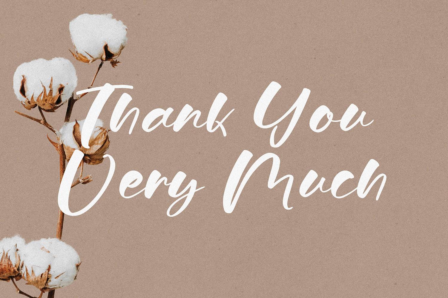 Shelbya Font sample