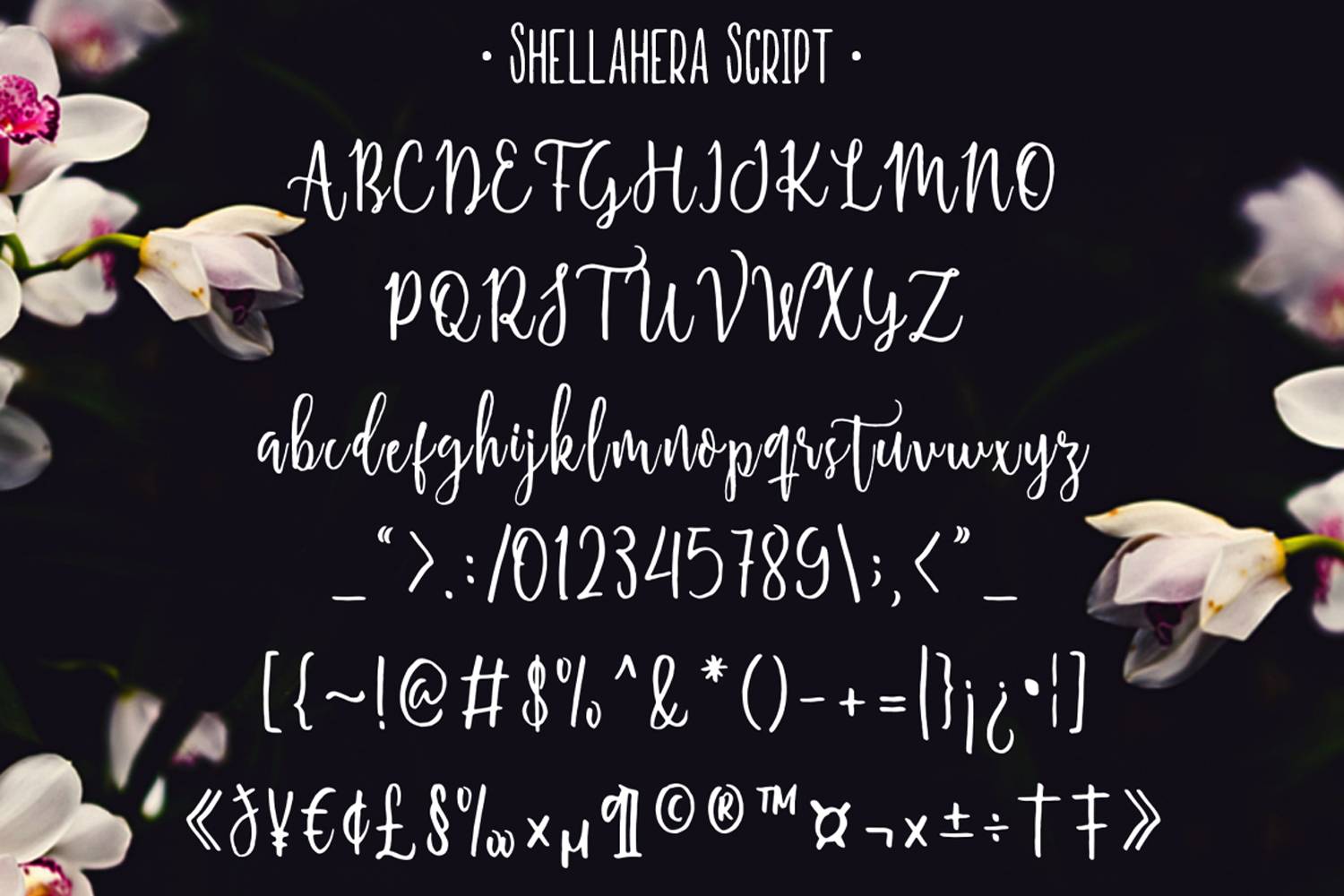 ShellaHera Script Demo sample
