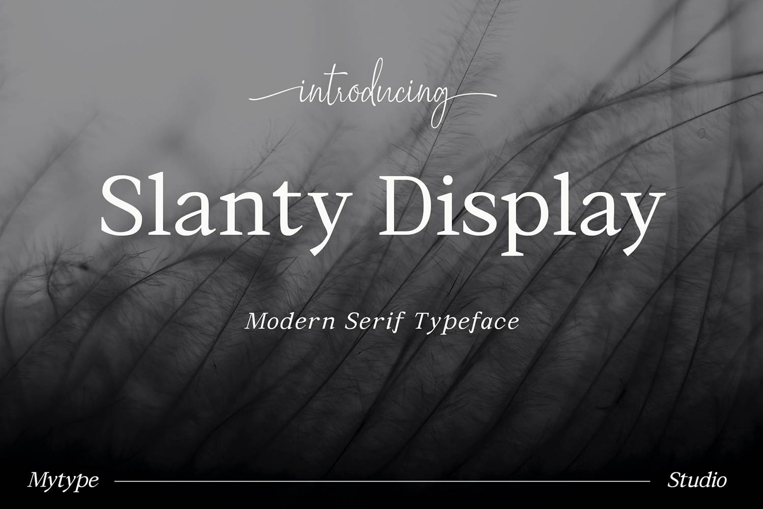 Slanty Display Font sample