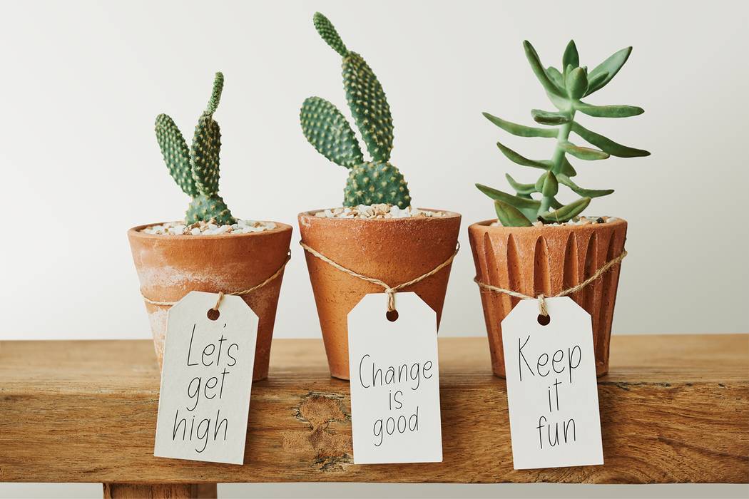Smileline Font sample