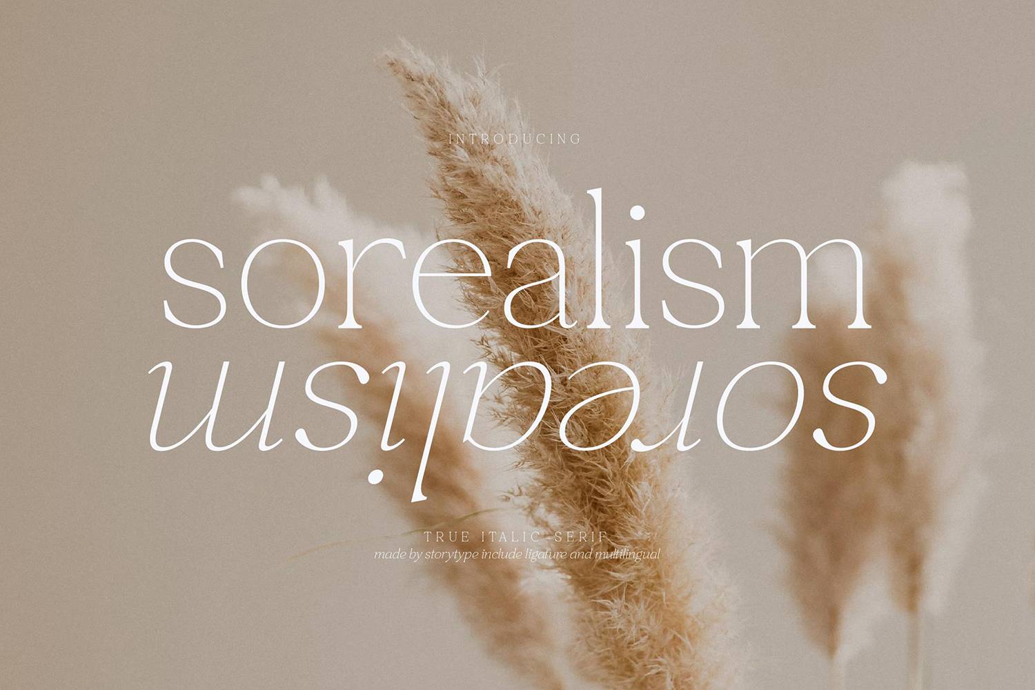 Sorealism Font sample