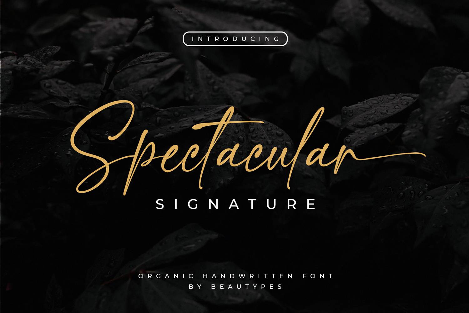 Spectacular Font sample