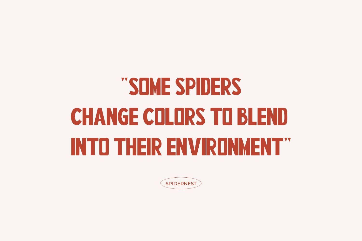 Spidernes Font sample