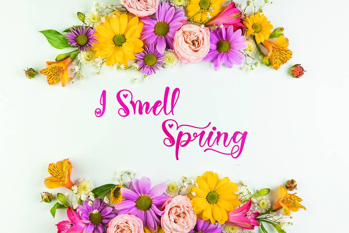 Spring Heart Font sample