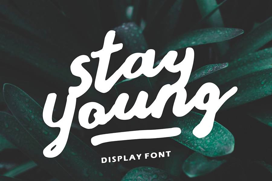 Stay Young Handlettering Display sample