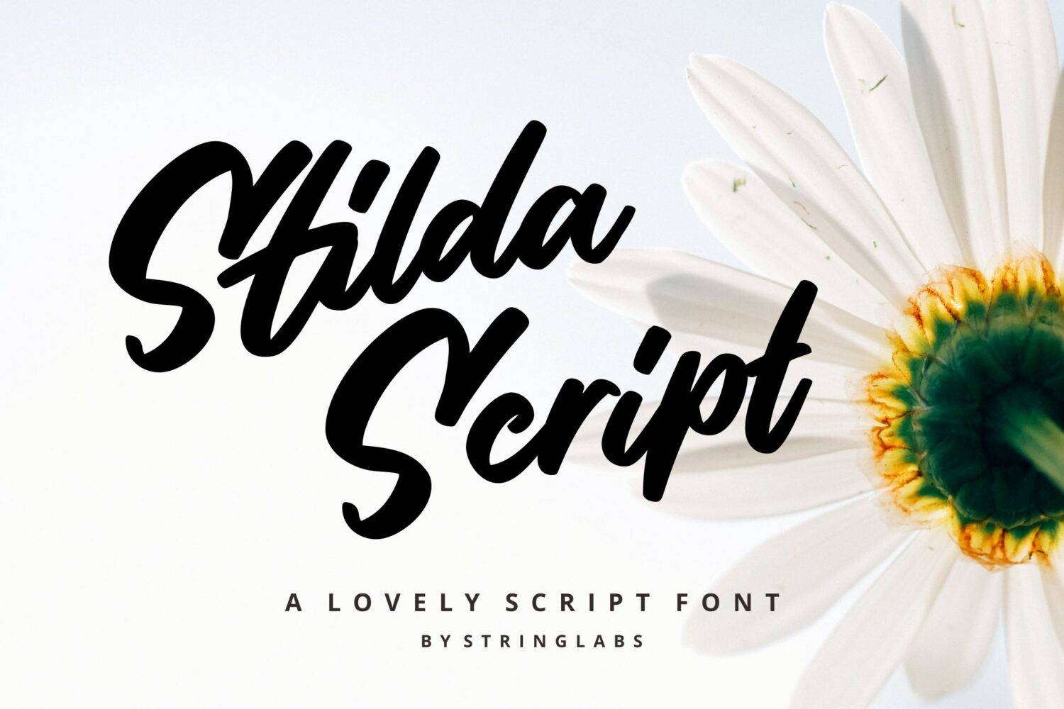 Stilda Font sample
