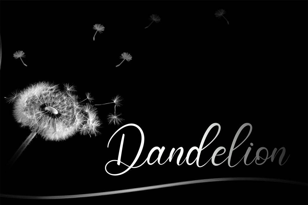 Summer Signature Font sample