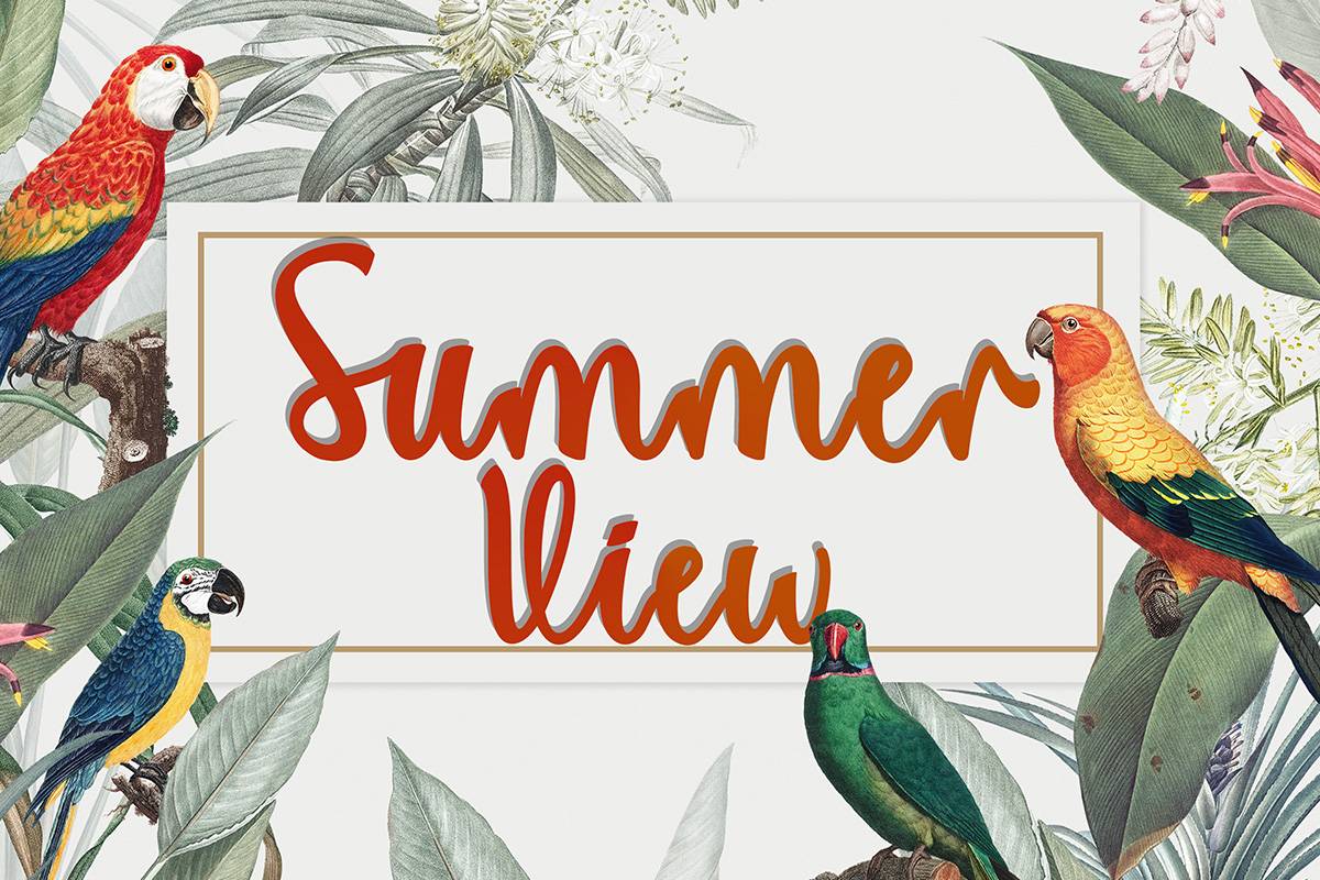Summer View Font sample