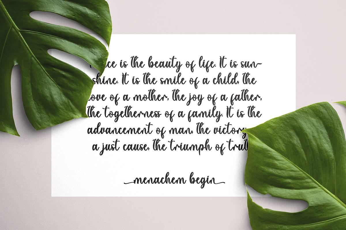 Summer View Font sample