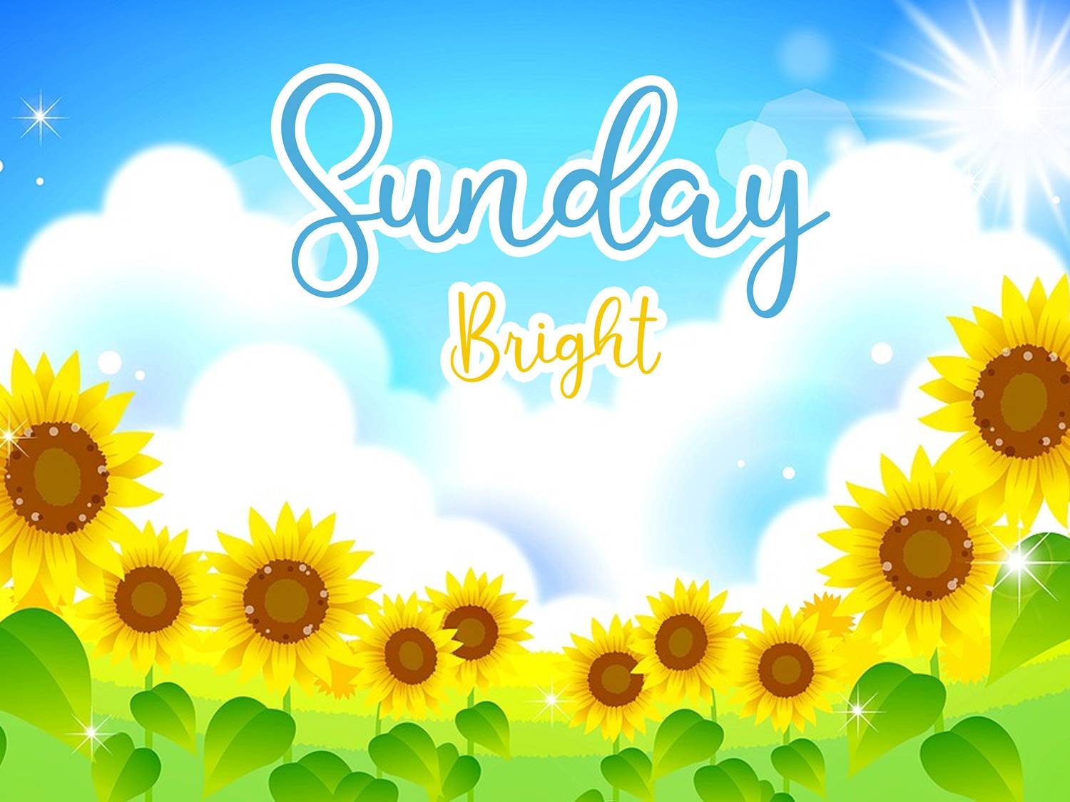 Sunflower Font sample