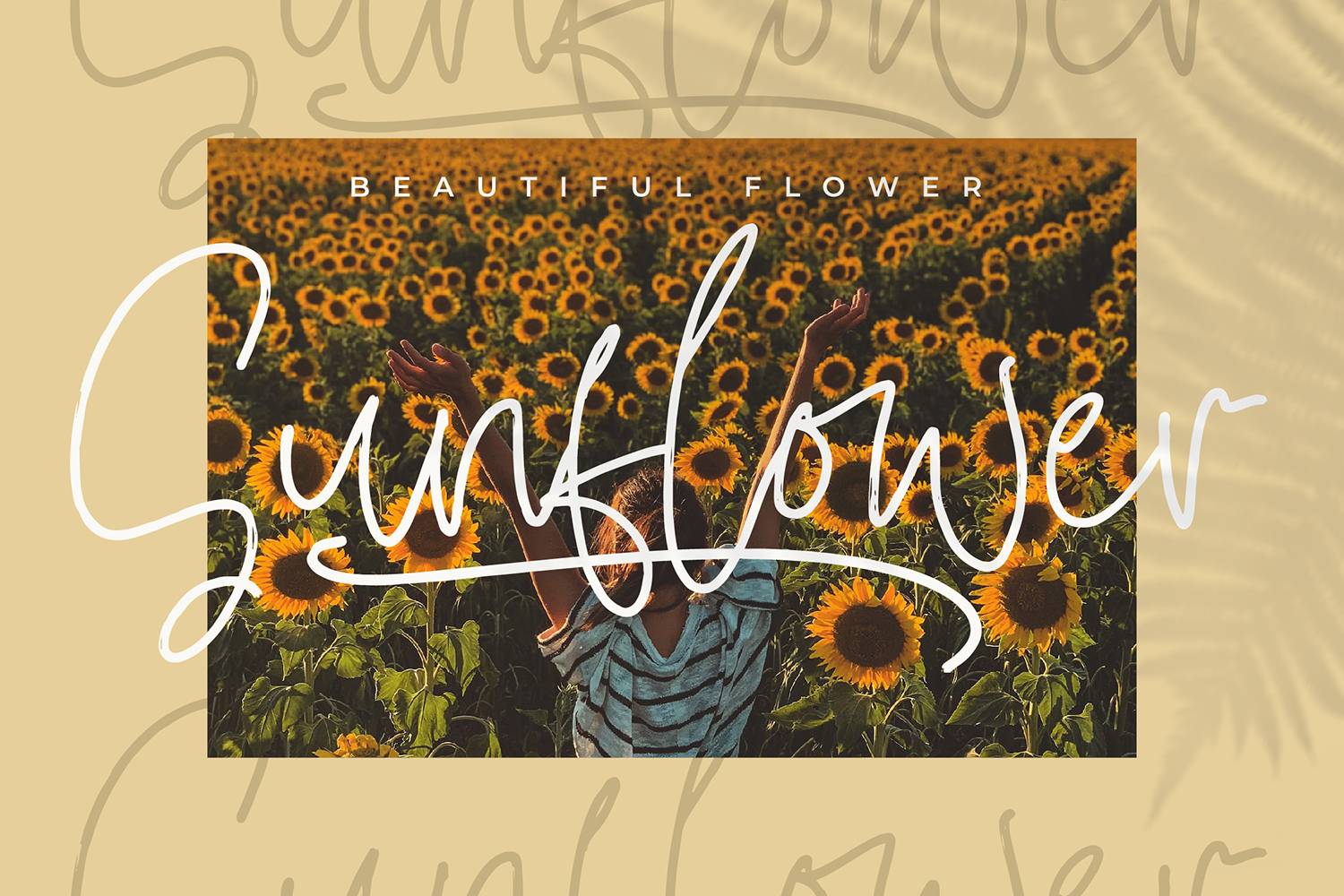 Swash Zillong Font sample