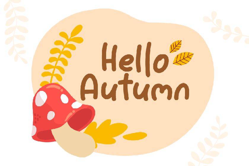 Sweet Maple Font sample