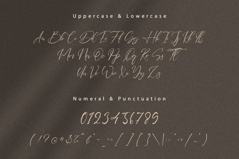 Sydney Signature Font sample